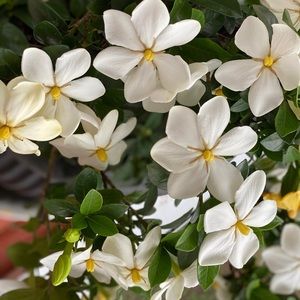 Meet your Posher, Marina